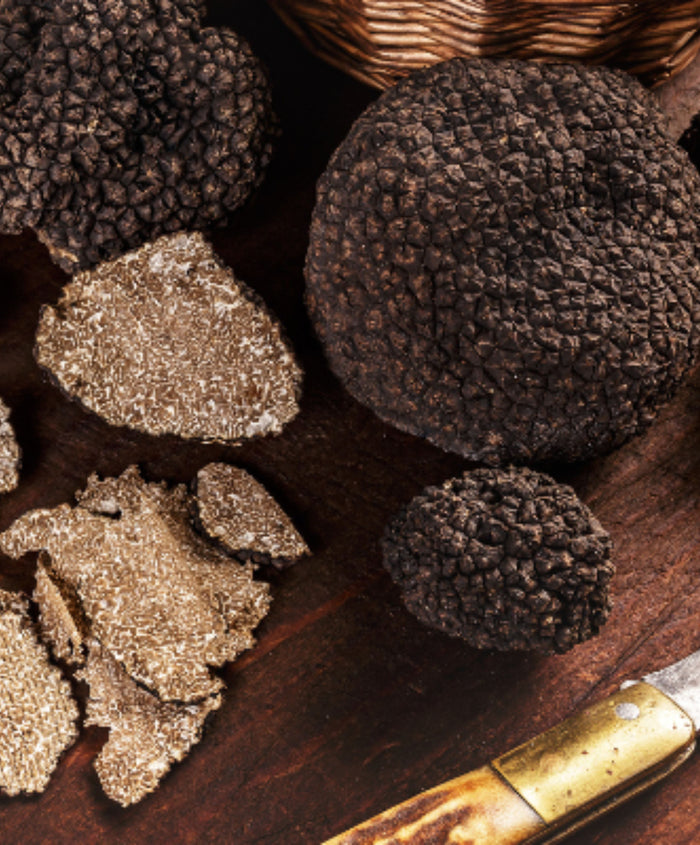Exploration gourmande de février : à la découverte de la truffe