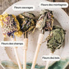 Coffret de 4 herbier d'infusion Bio Horae