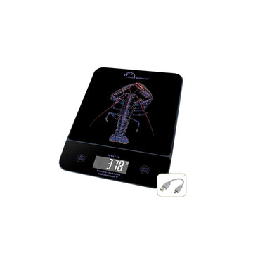 Balance Genius rechargeable homard Little Balance