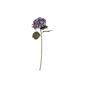 Tige Hortensia H83 Bleu Atmosphera