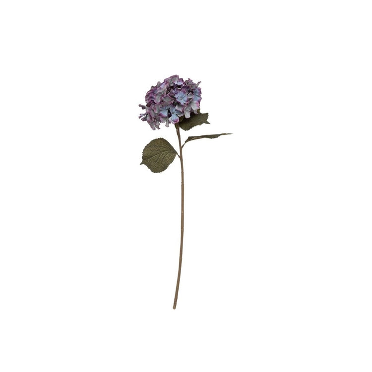 Tige Hortensia H83 Bleu Atmosphera