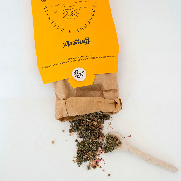 Infusion en vrac 50g J'apprends à ralentir Gingerly