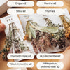 Coffret de 16 herbier d'infusion Bio Horae
